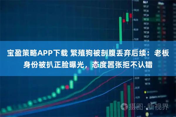 宝盈策略APP下载 繁殖狗被剖腹丢弃后续：老板身份被扒正脸曝光，态度嚣张拒不认错