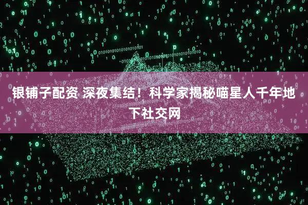 银铺子配资 深夜集结！科学家揭秘喵星人千年地下社交网