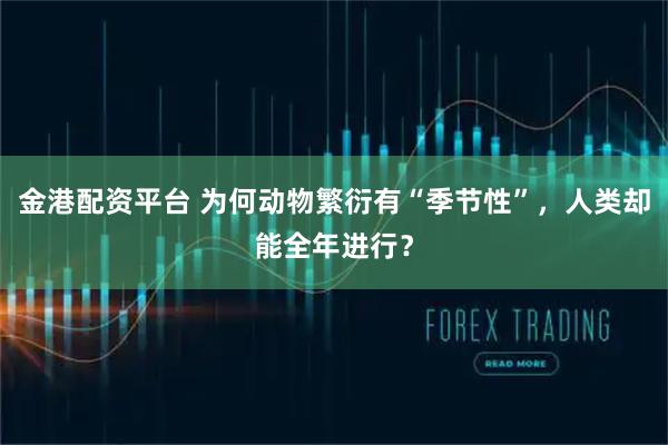 金港配资平台 为何动物繁衍有“季节性”，人类却能全年进行？