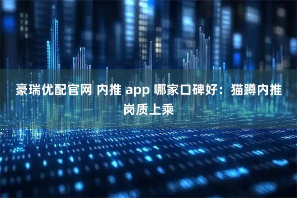 豪瑞优配官网 内推 app 哪家口碑好：猫蹲内推岗质上乘