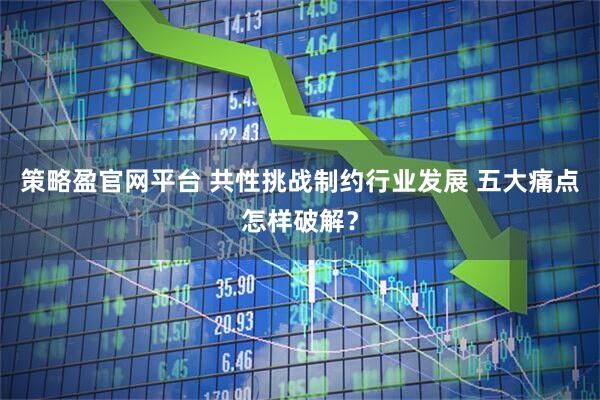 策略盈官网平台 共性挑战制约行业发展 五大痛点怎样破解？